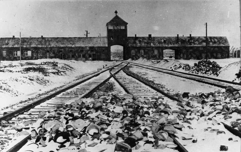 Camps